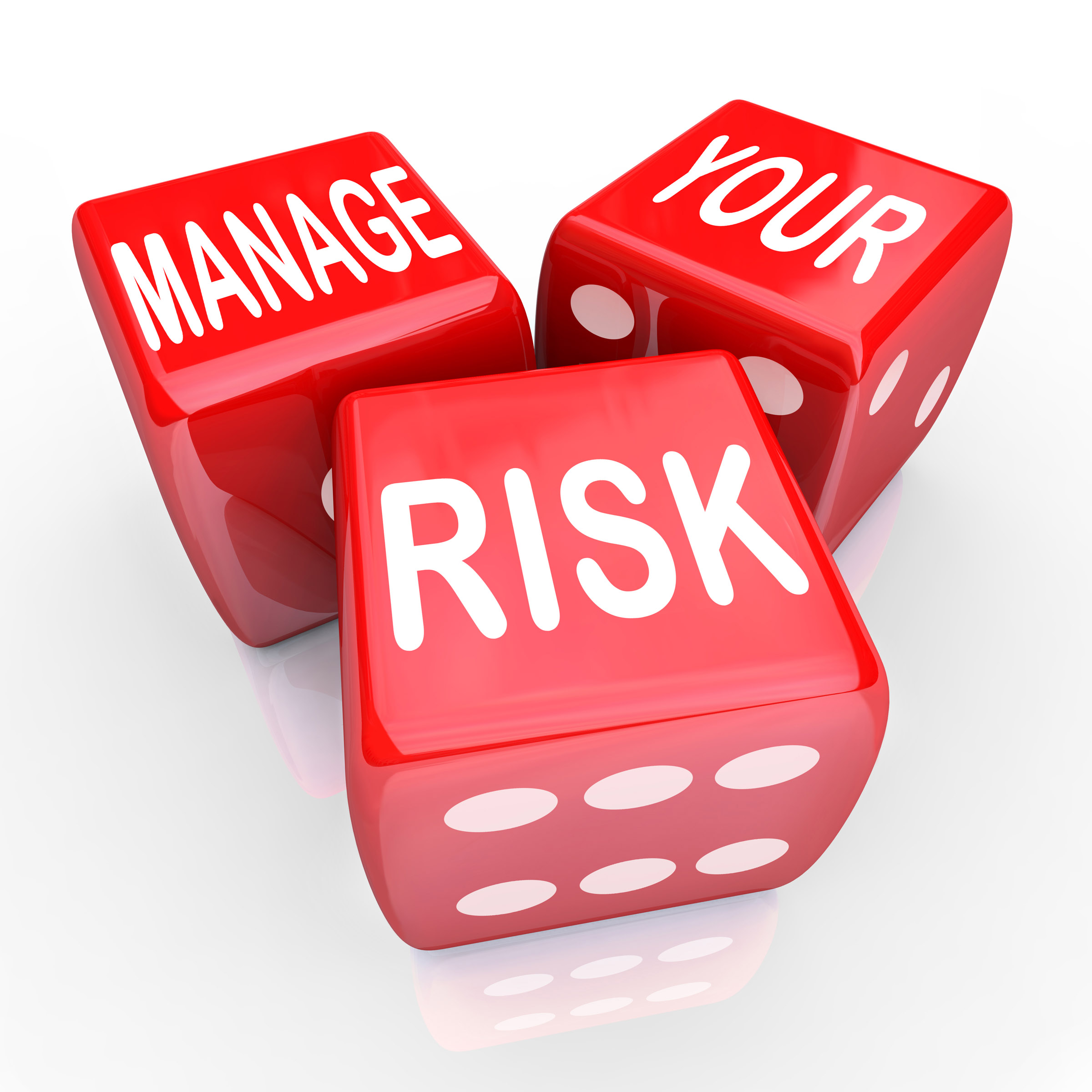 Financial risk management business plan