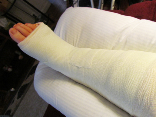 Starship Troopers Events Coral Gables Art Cinema