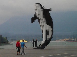 NAFSA Orca