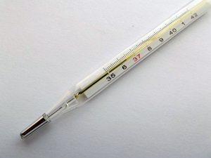 Thermometer