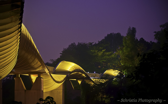 Henderson Wave Singapore