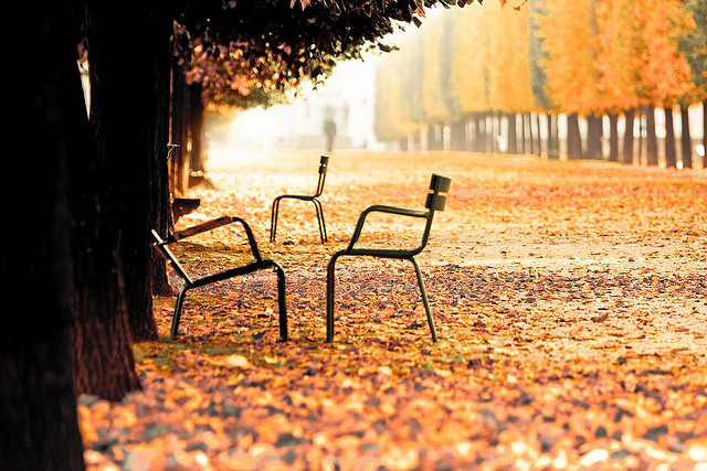 Autumn in Paris