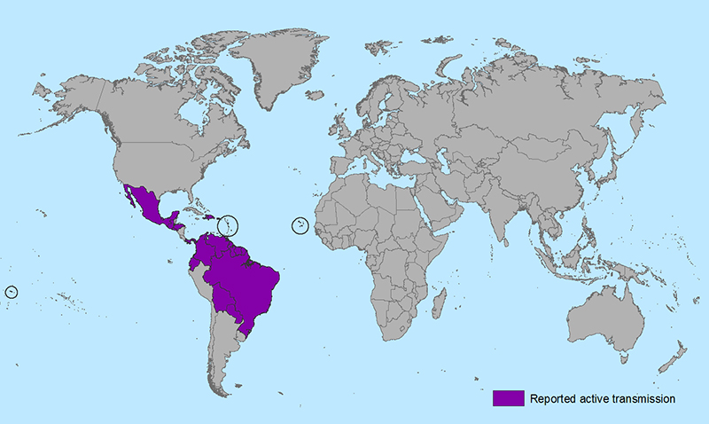 Countries and territories with active Zika virus transmission.