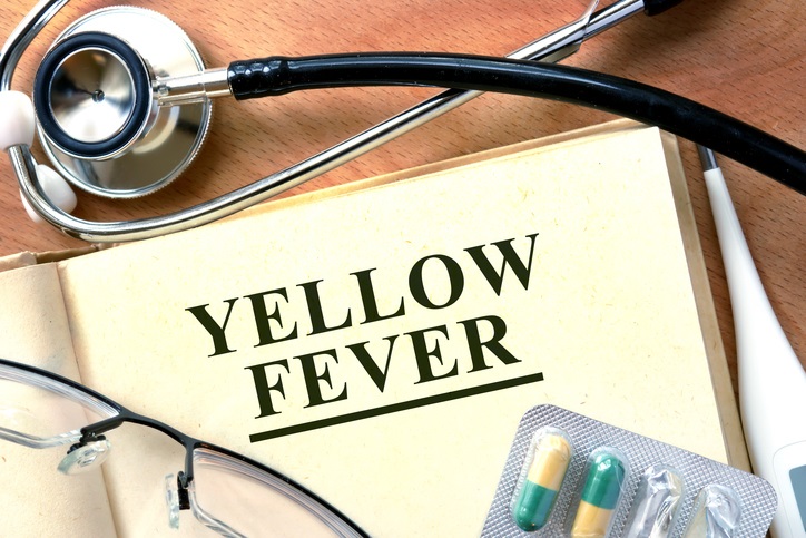 Yellow Fever And Travel FAQs And Preventative Advice